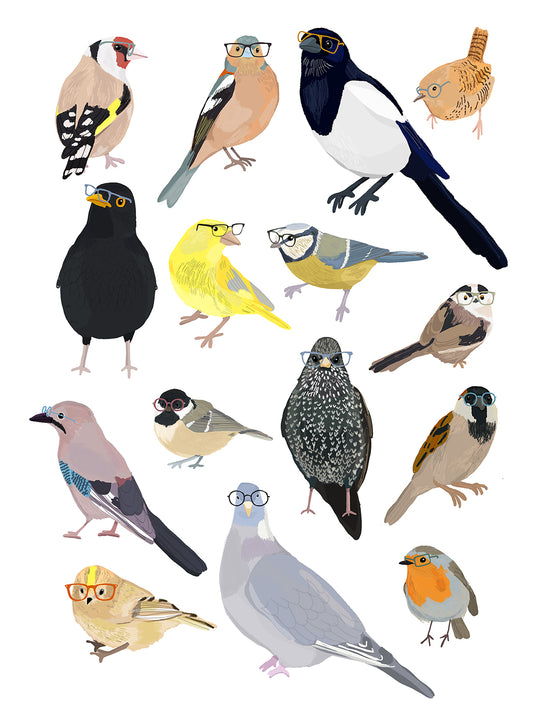 Hanna Melin -  Garden Birds With Glasses