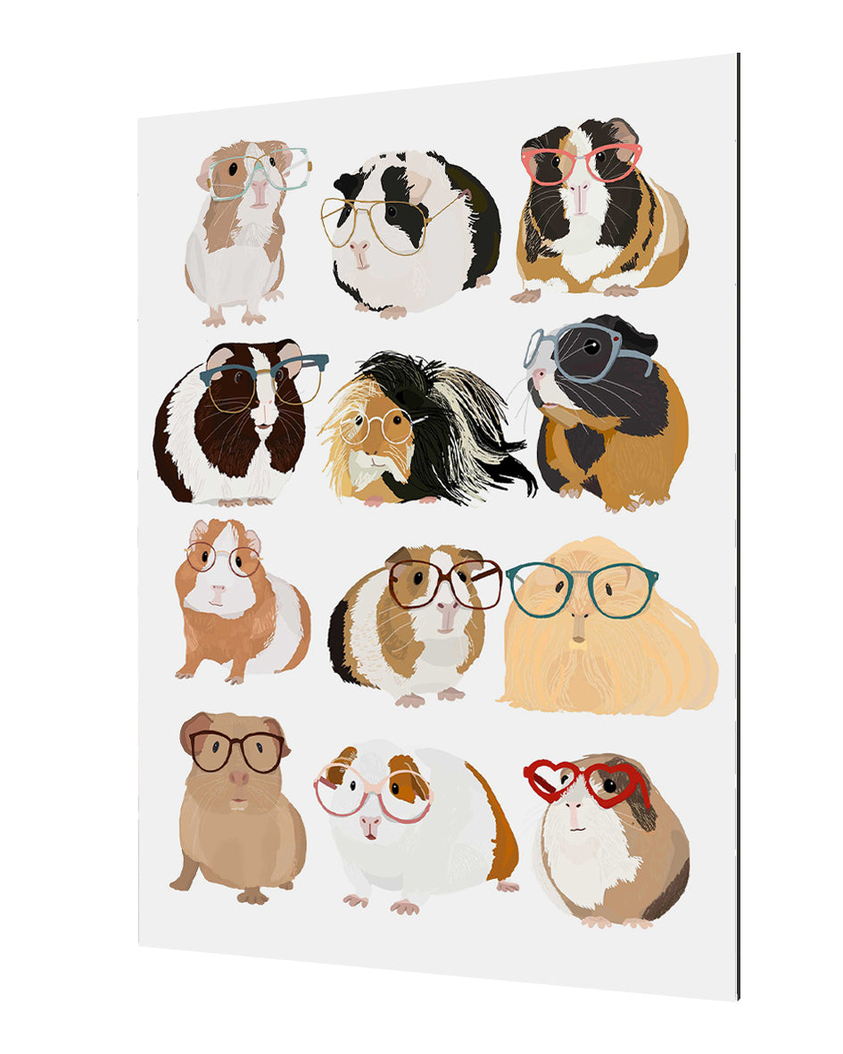 Hanna Melin -  Guineapig In Glasses
