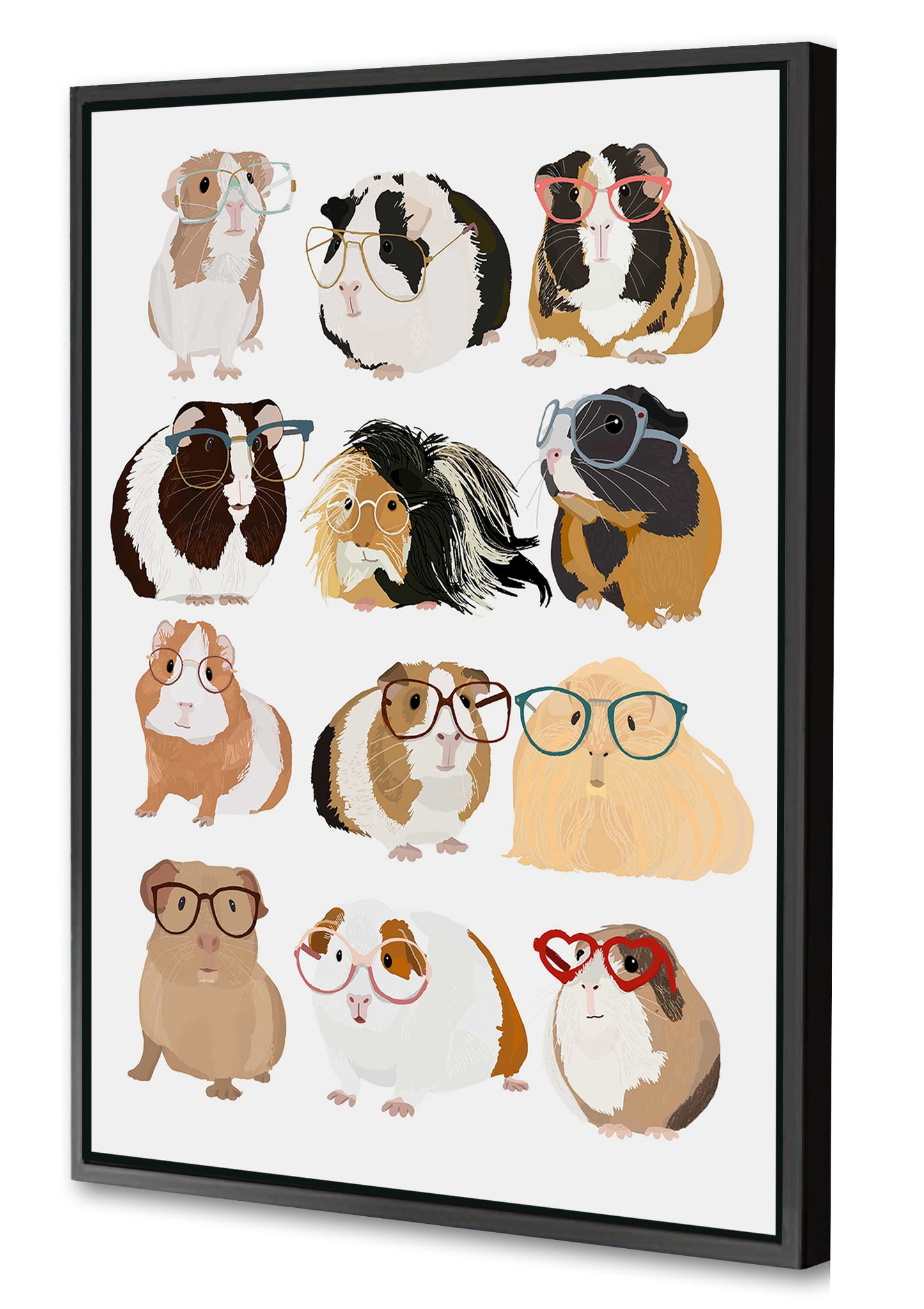 Hanna Melin -  Guineapig In Glasses