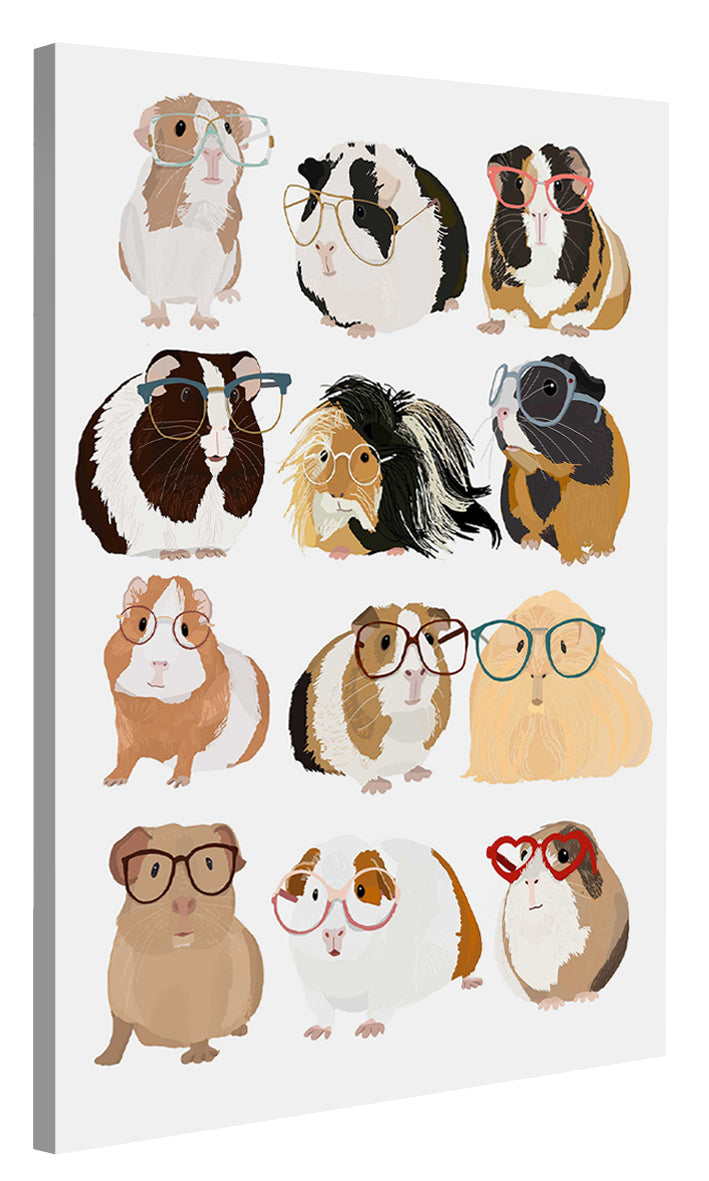 Hanna Melin -  Guineapig In Glasses