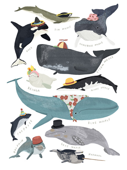 Hanna Melin -  Whales In Hats