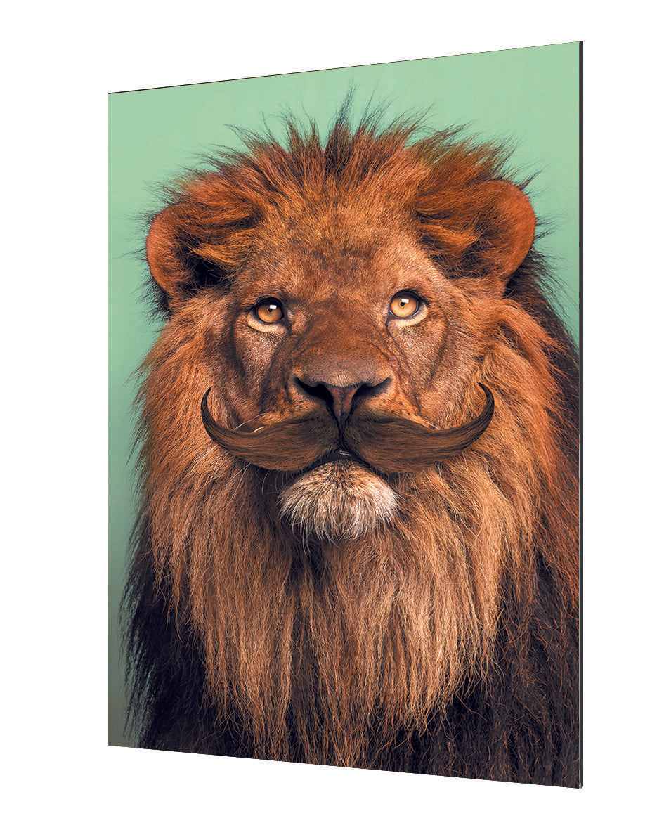 Jonas Loose -  Bearded Lion