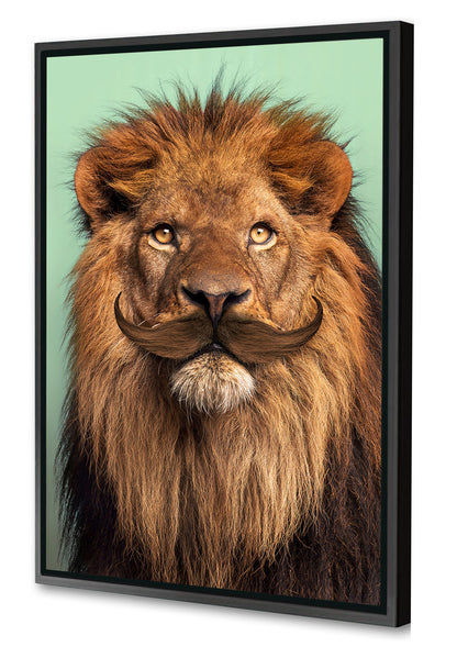 Jonas Loose -  Bearded Lion