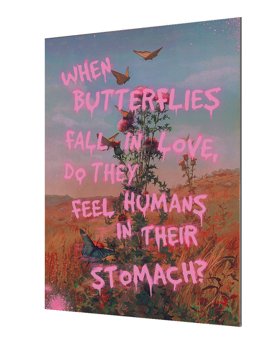 Jonas Loose -  Butterflies In Love