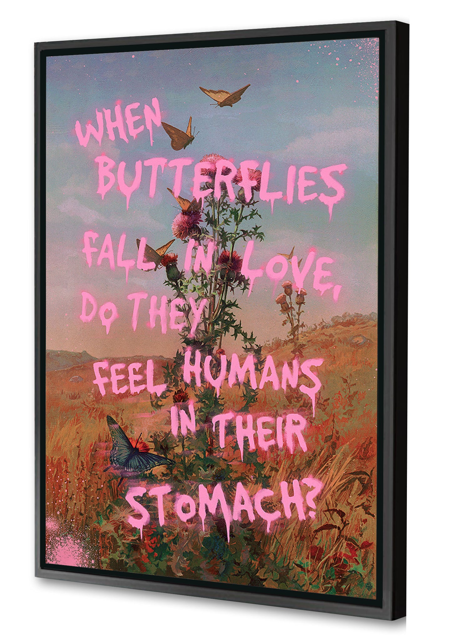 Jonas Loose -  Butterflies In Love