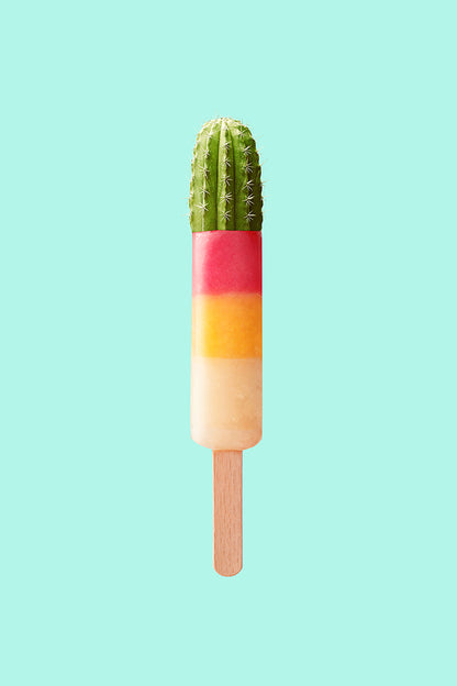 Jonas Loose -  Cactus Popsicle