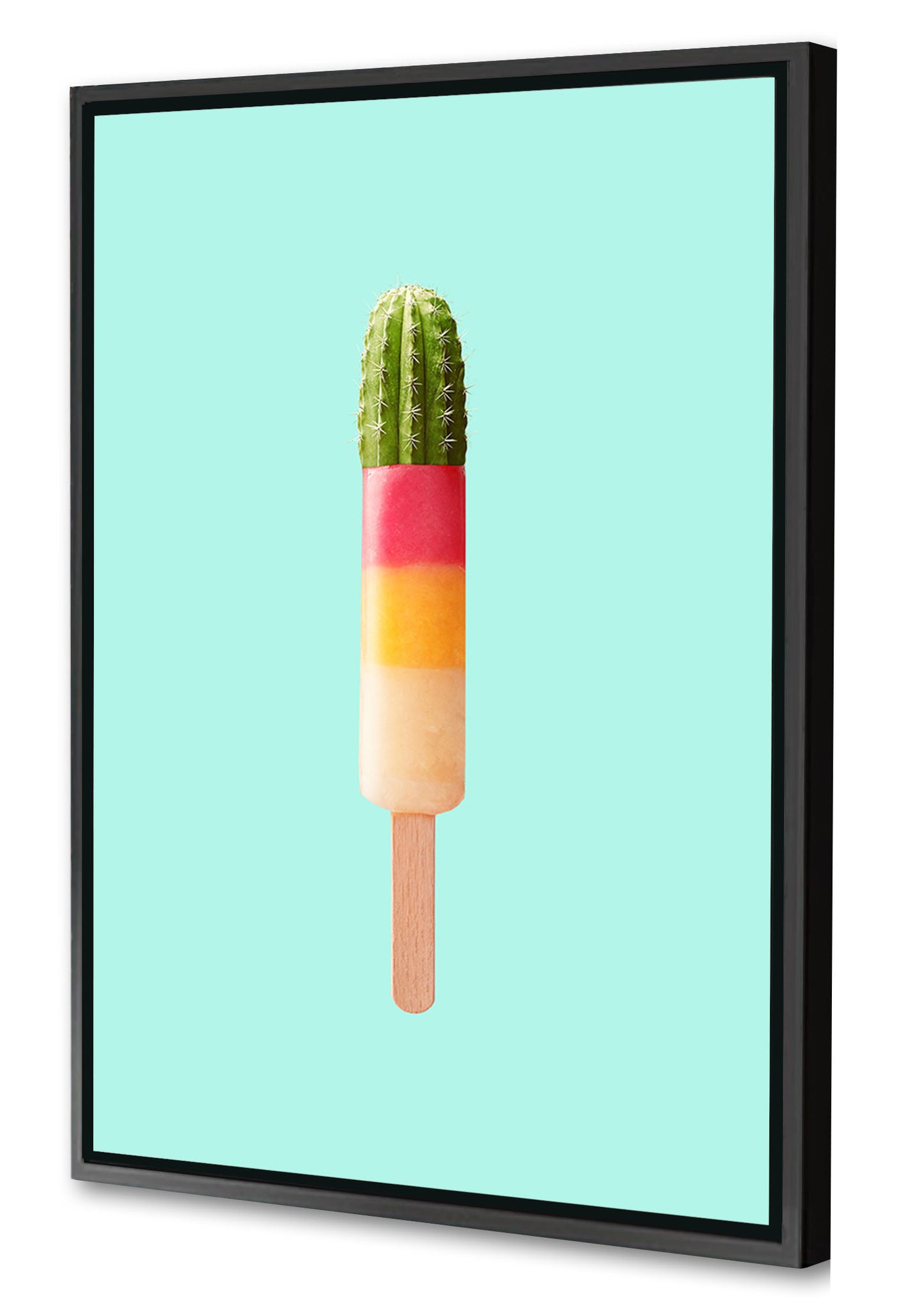 Jonas Loose -  Cactus Popsicle