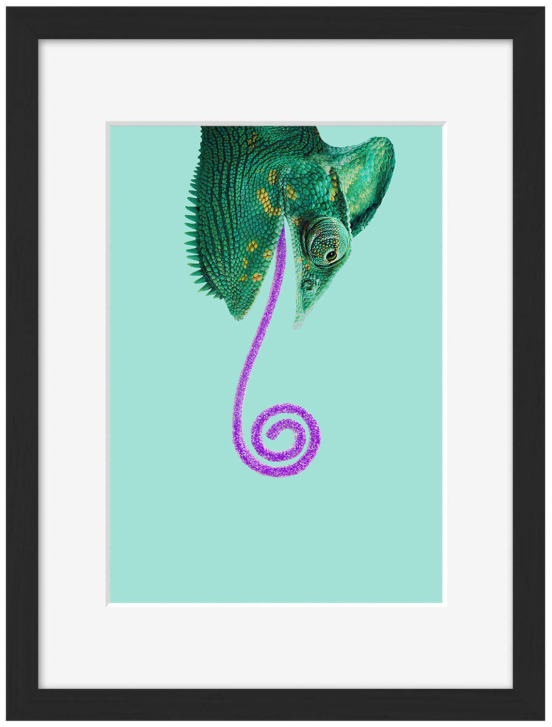 Jonas Loose -  Candy Chameleon