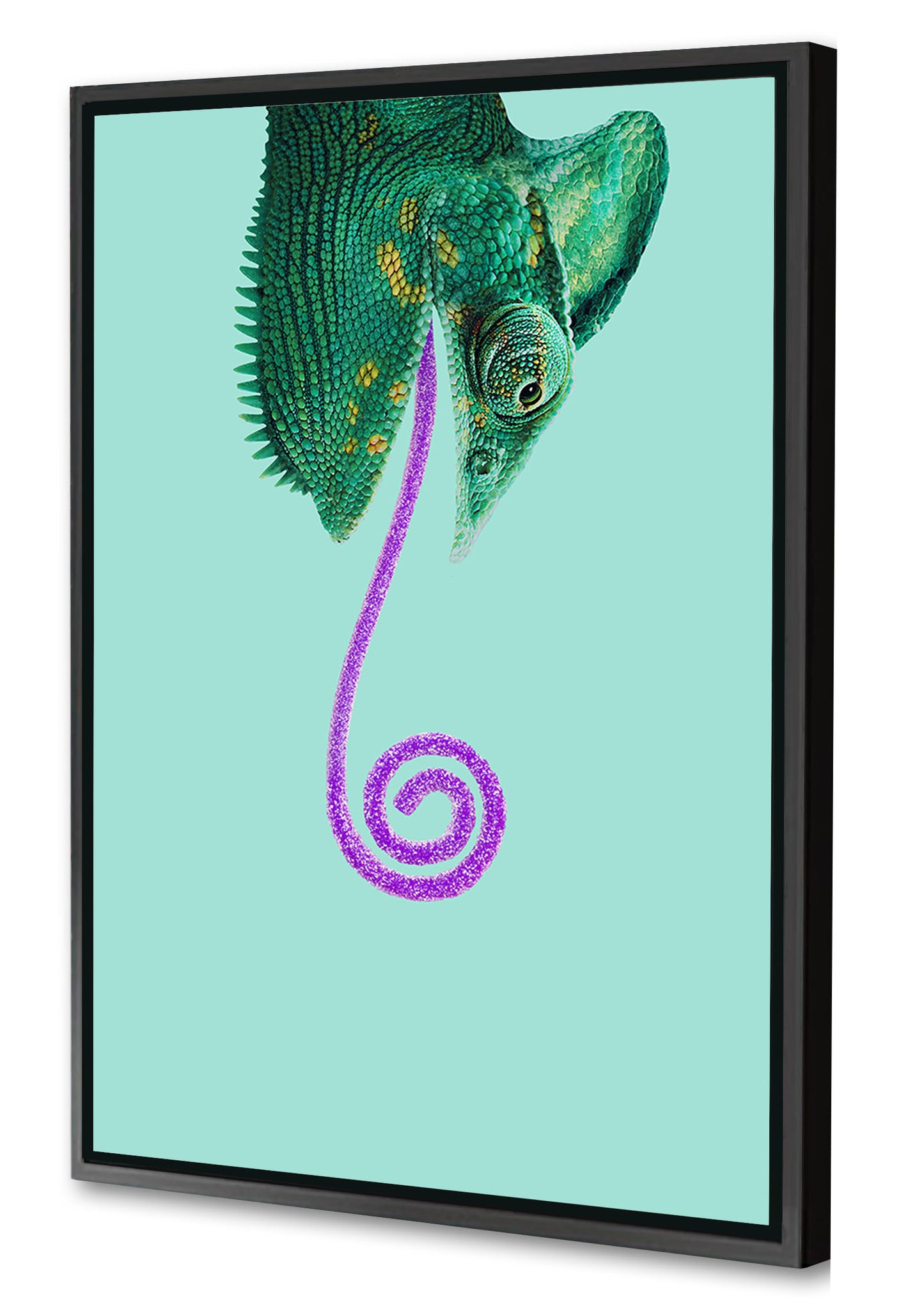 Jonas Loose -  Candy Chameleon