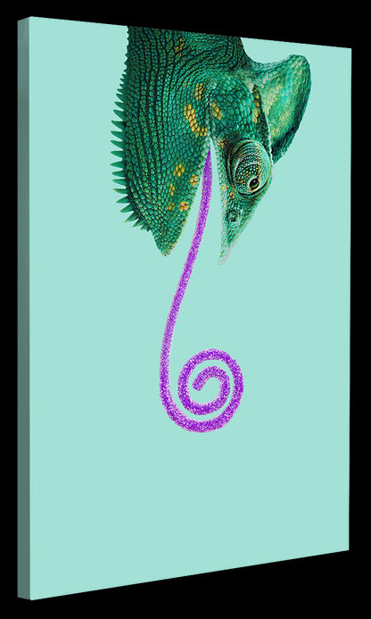 Jonas Loose -  Candy Chameleon