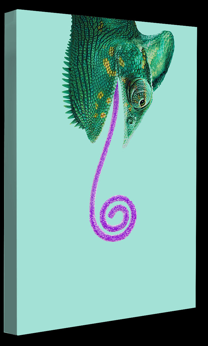 Jonas Loose -  Candy Chameleon