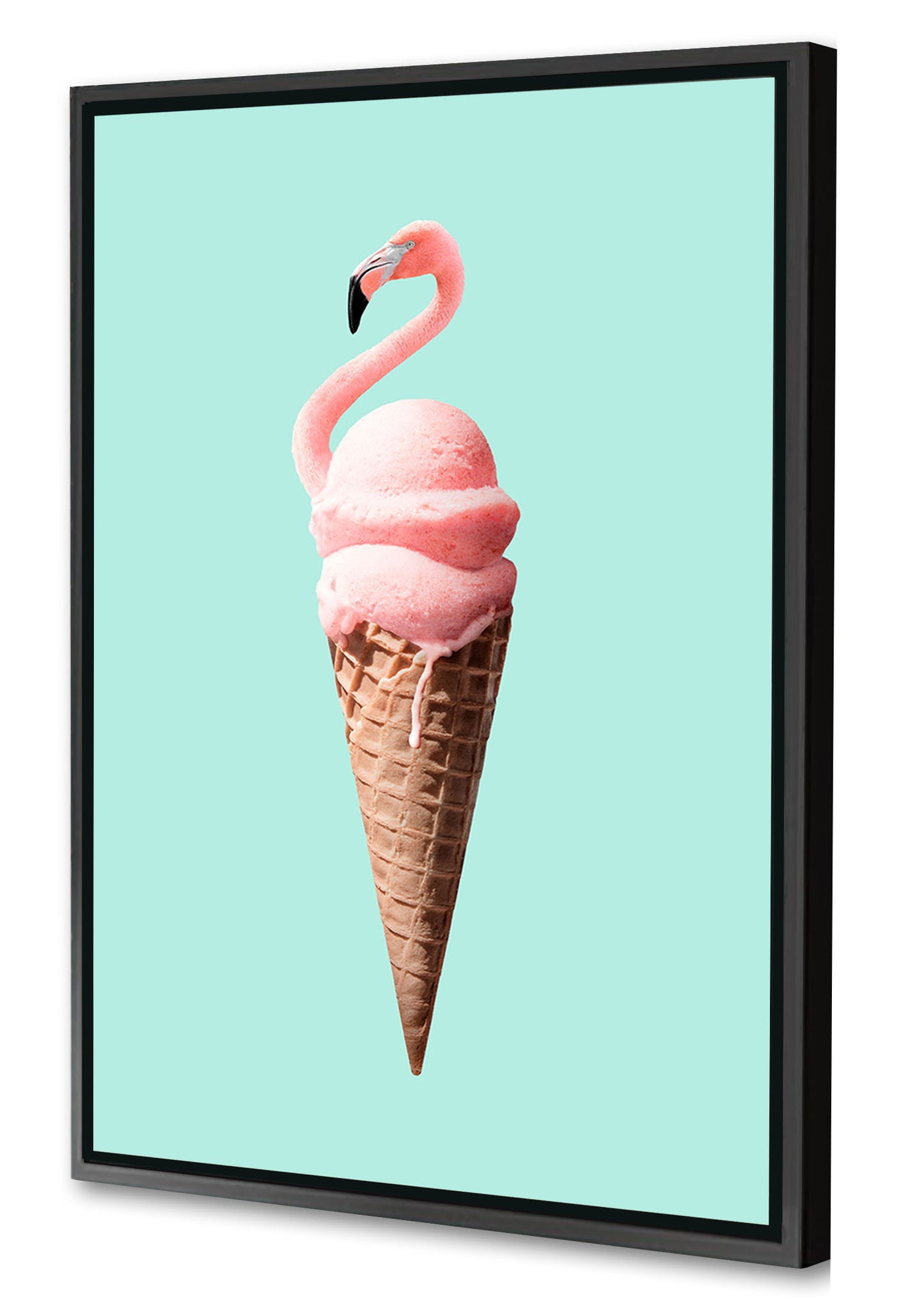 Jonas Loose -  Flamingo Cone