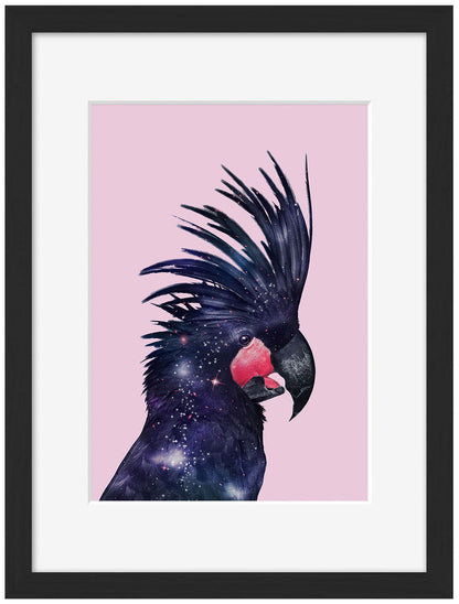 Jonas Loose -  Galaxy Bird