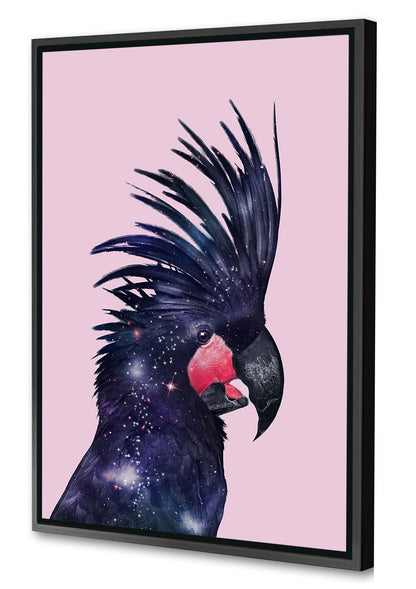 Jonas Loose -  Galaxy Bird