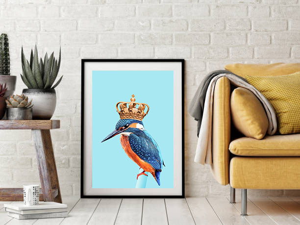 Jonas Loose -  Kingfisher