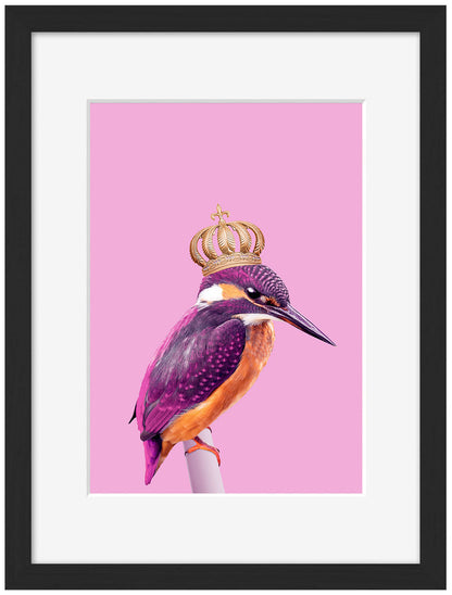 Jonas Loose -  Queenfisher