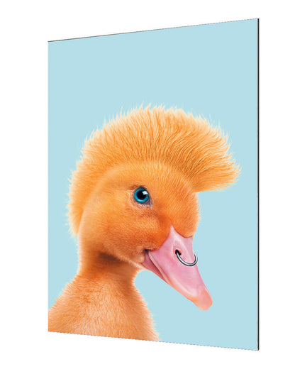 Jonas Loose -  Rebel Duckling