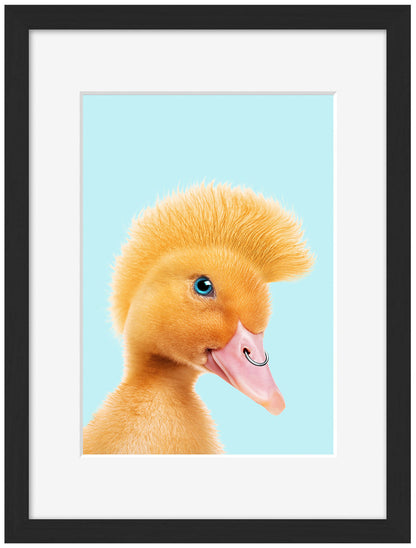 Jonas Loose -  Rebel Duckling