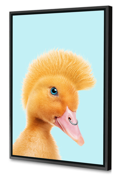 Jonas Loose -  Rebel Duckling