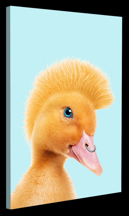 Jonas Loose -  Rebel Duckling