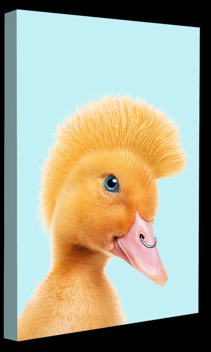 Jonas Loose -  Rebel Duckling