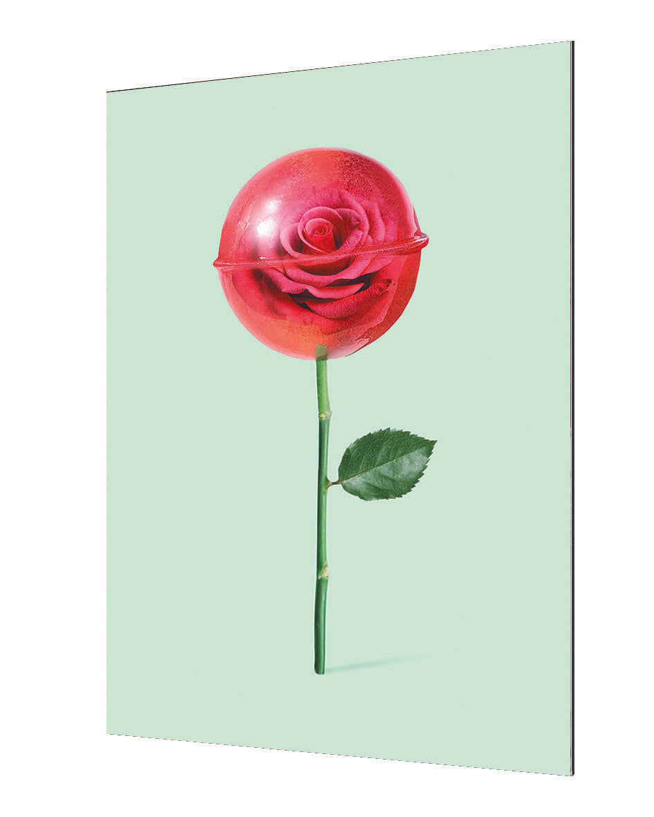 Jonas Loose -  Rose Lollipop