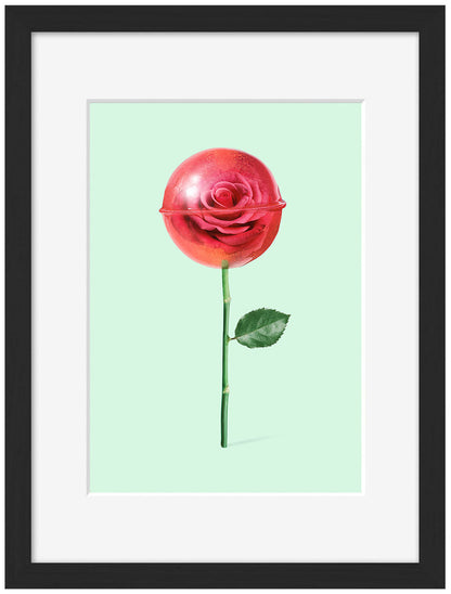 Jonas Loose -  Rose Lollipop