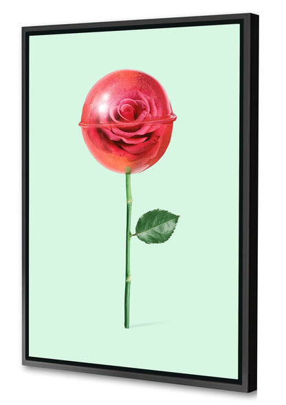 Jonas Loose -  Rose Lollipop