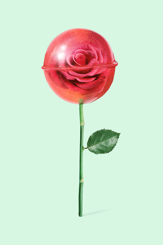 Jonas Loose -  Rose Lollipop