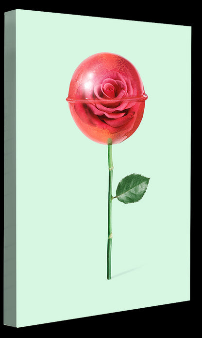 Jonas Loose -  Rose Lollipop