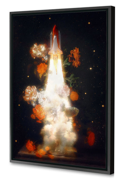 Jonas Loose -  Space Shuttle Flowers