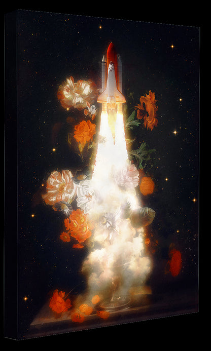 Jonas Loose -  Space Shuttle Flowers