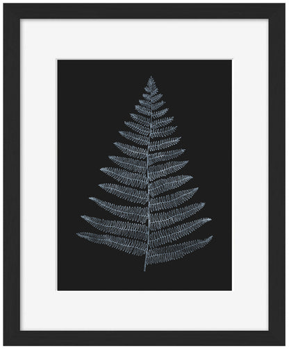 Kubistika -  Botanica Minimalistica Bleu