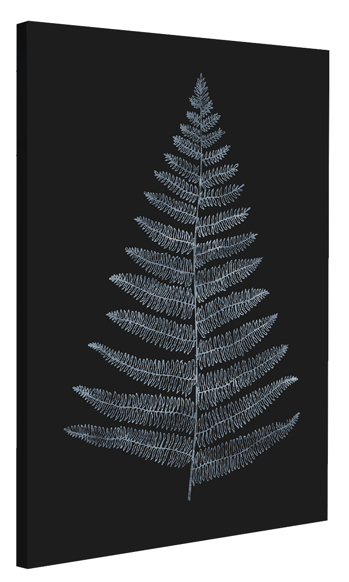 Kubistika -  Botanica Minimalistica Bleu