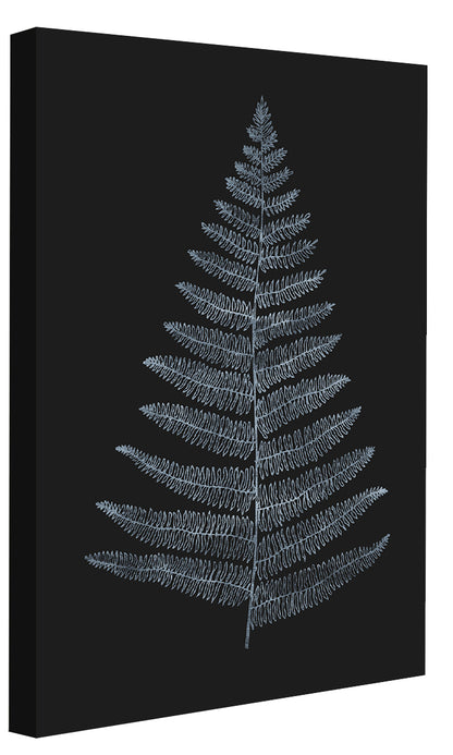 Kubistika -  Botanica Minimalistica Bleu