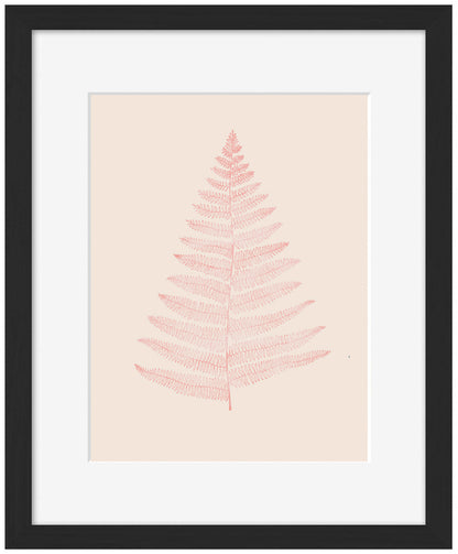 Kubistika -  Botanica Minimalistica Rouge