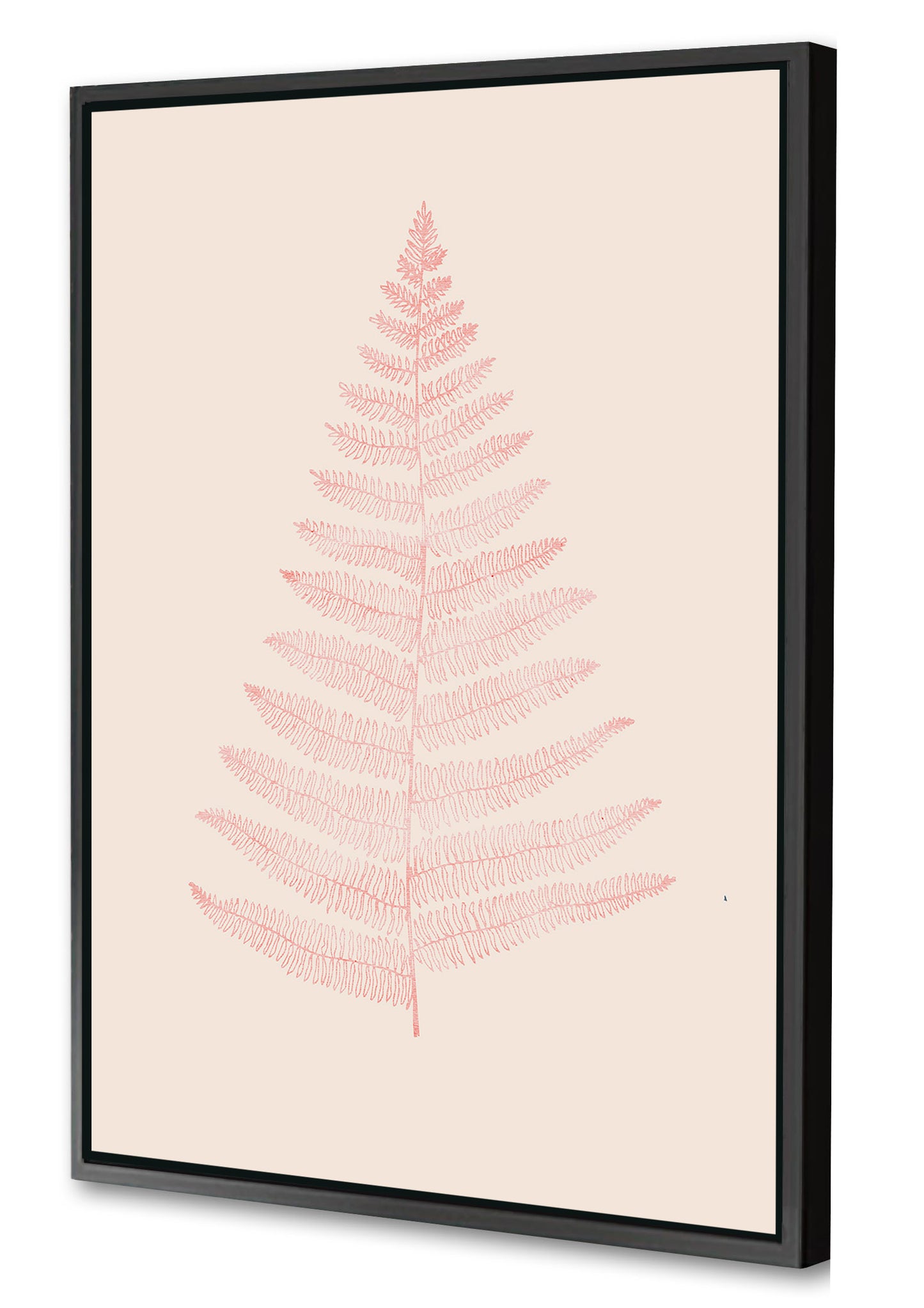 Kubistika -  Botanica Minimalistica Rouge