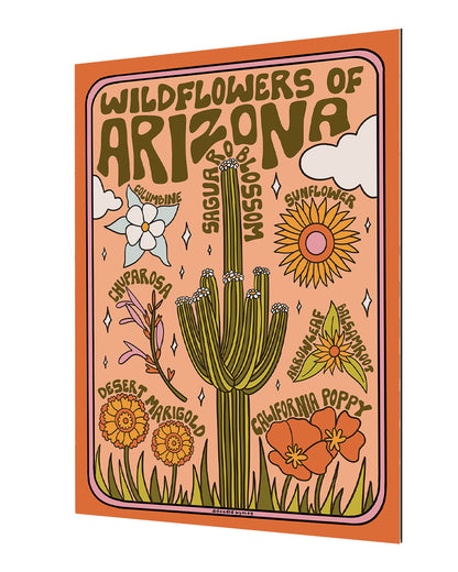 Meghan Wallace -  Arizona Wildflowers