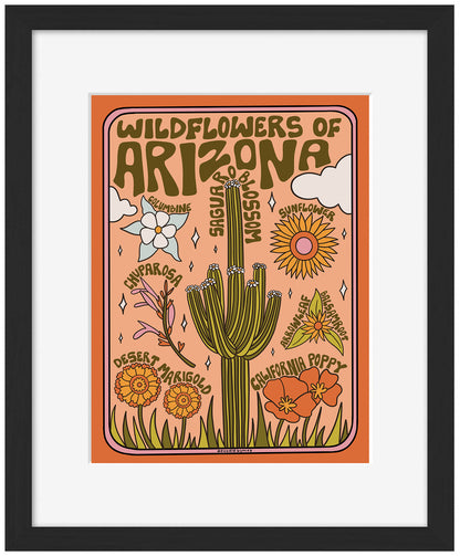 Meghan Wallace -  Arizona Wildflowers