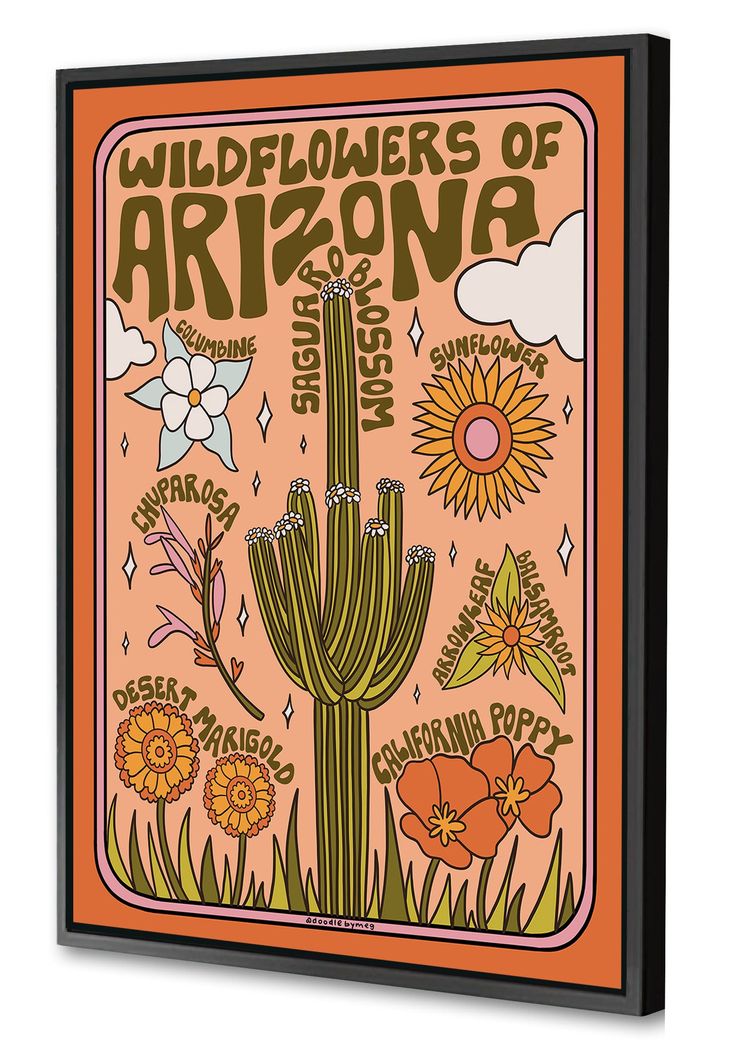 Meghan Wallace -  Arizona Wildflowers