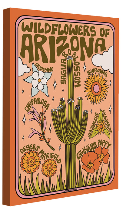 Meghan Wallace -  Arizona Wildflowers