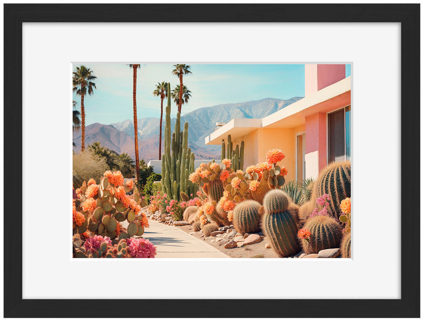 Philippe Hugonnard -  California Dreaming Cactusland