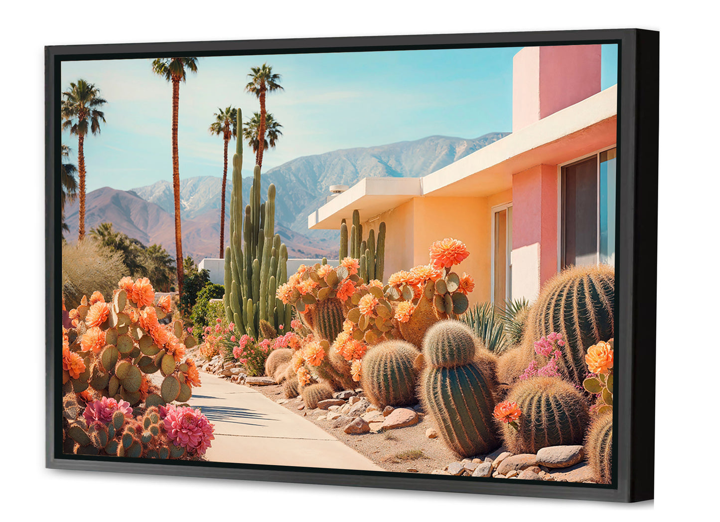 Philippe Hugonnard -  California Dreaming Cactusland