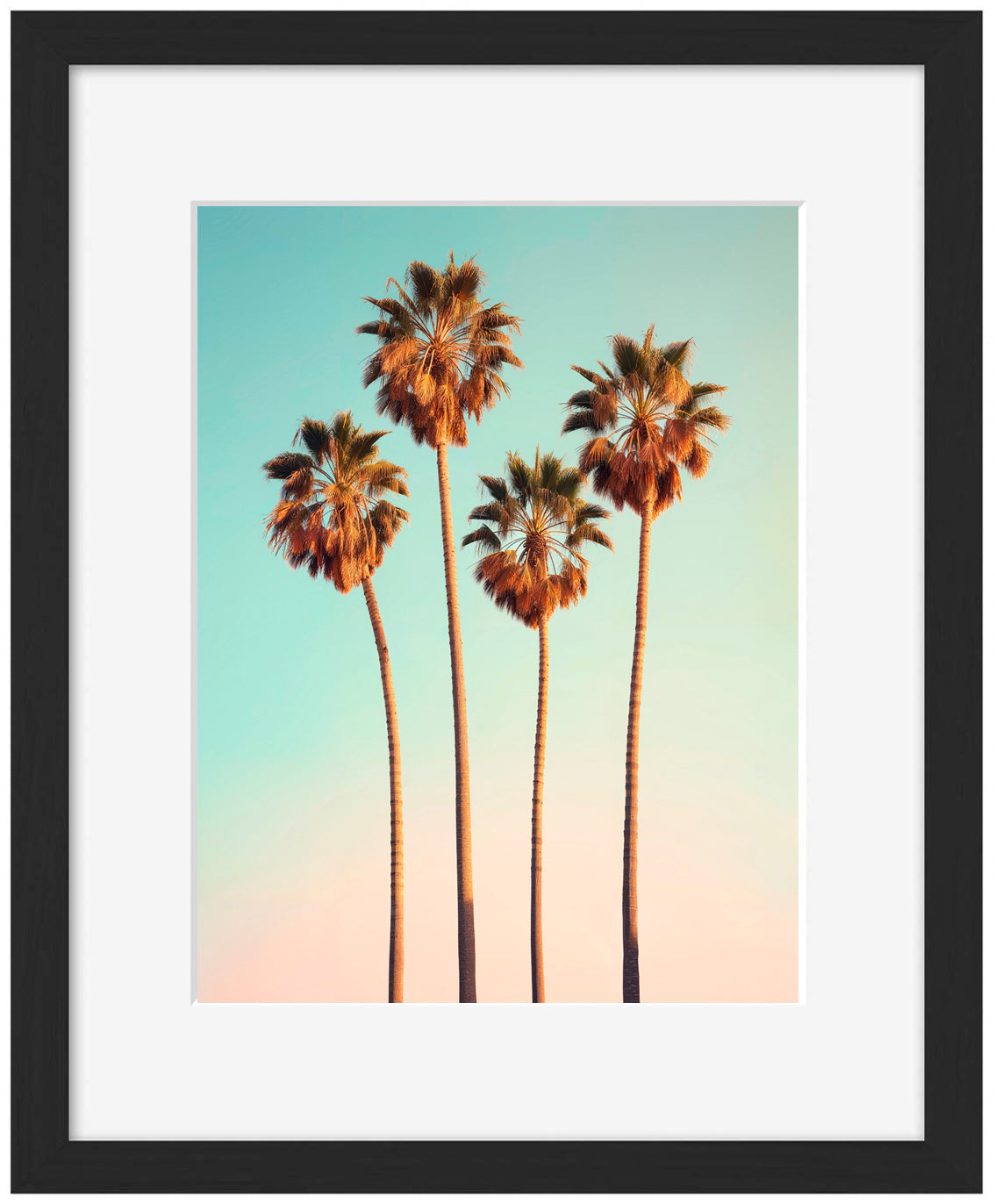 Philippe Hugonnard -  California Dreaming Hollywood Palm Trees