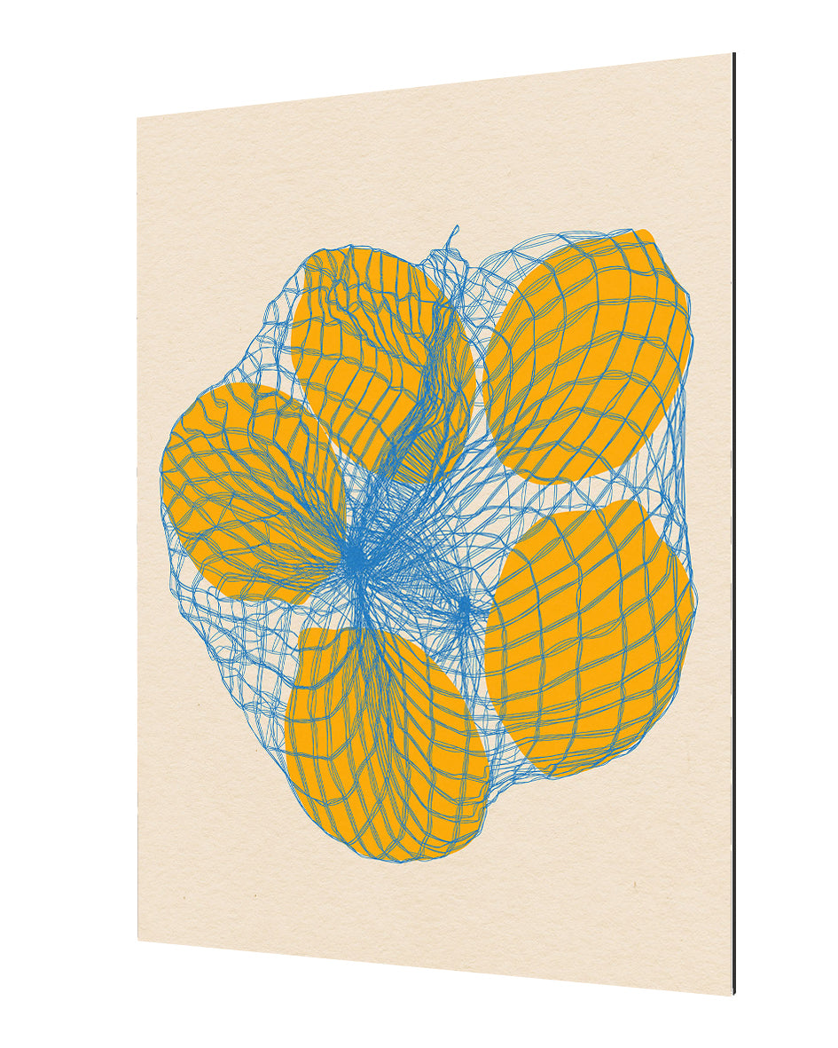 Rosi Feist -  Five Lemons In A Net Bag