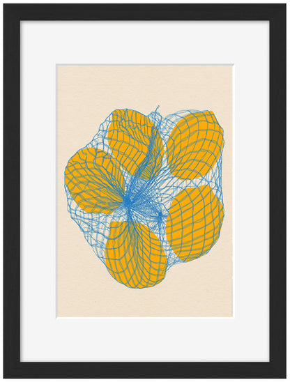 Rosi Feist -  Five Lemons In A Net Bag