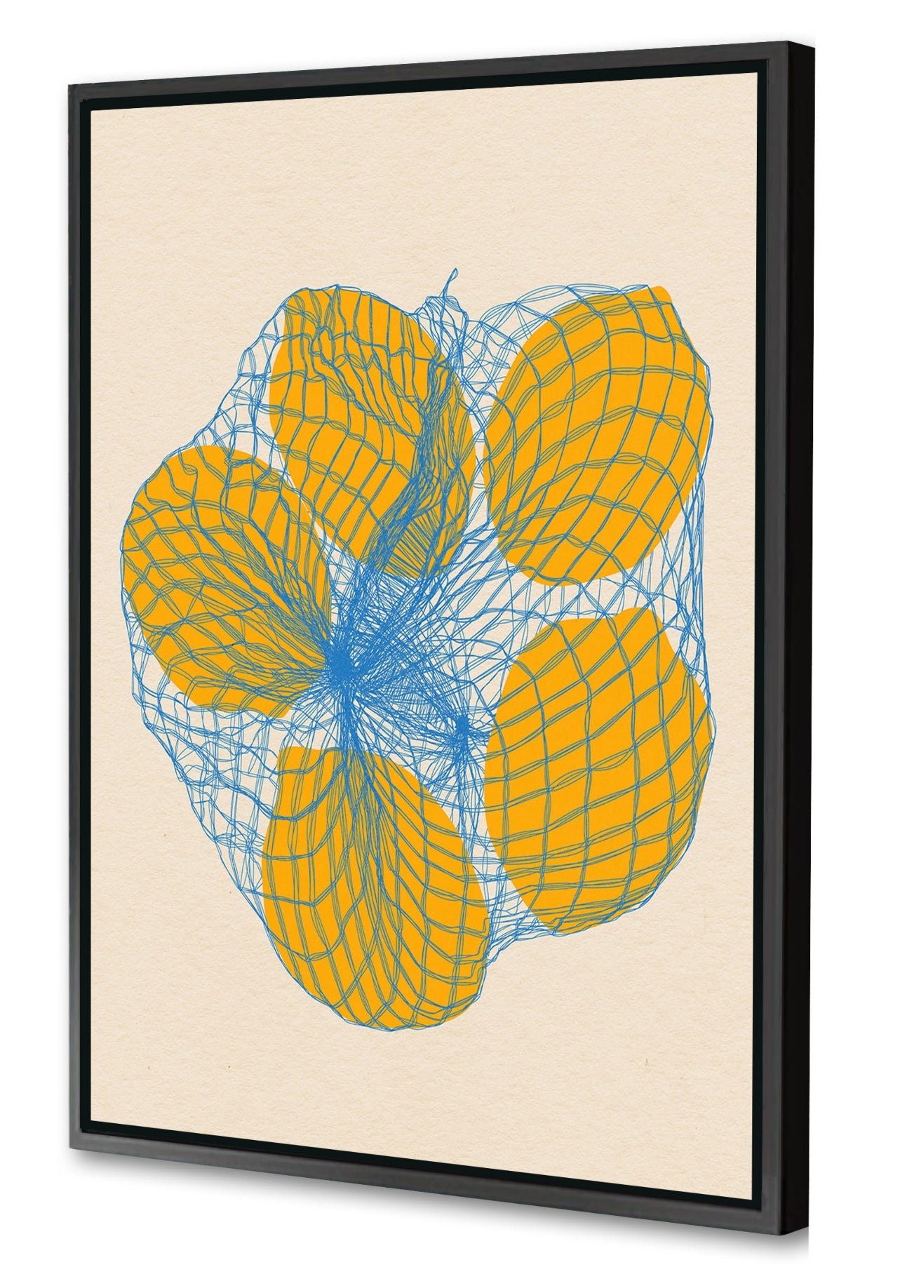 Rosi Feist -  Five Lemons In A Net Bag