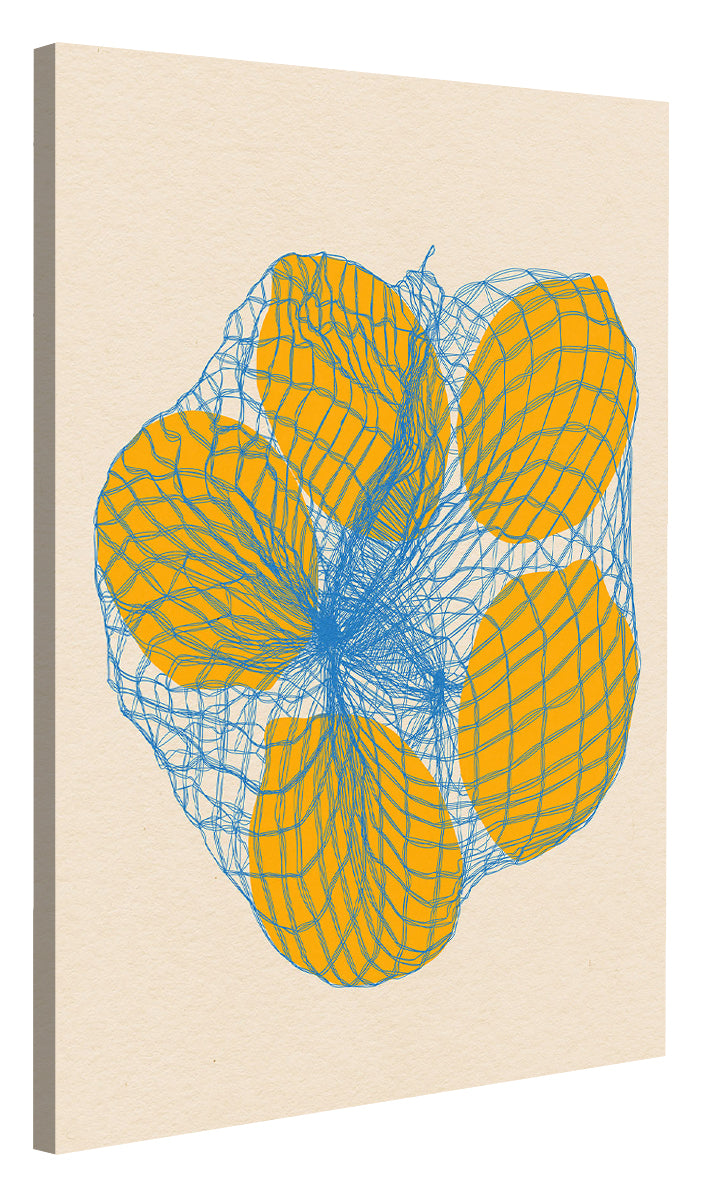 Rosi Feist -  Five Lemons In A Net Bag