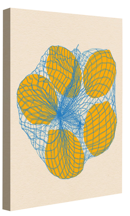 Rosi Feist -  Five Lemons In A Net Bag