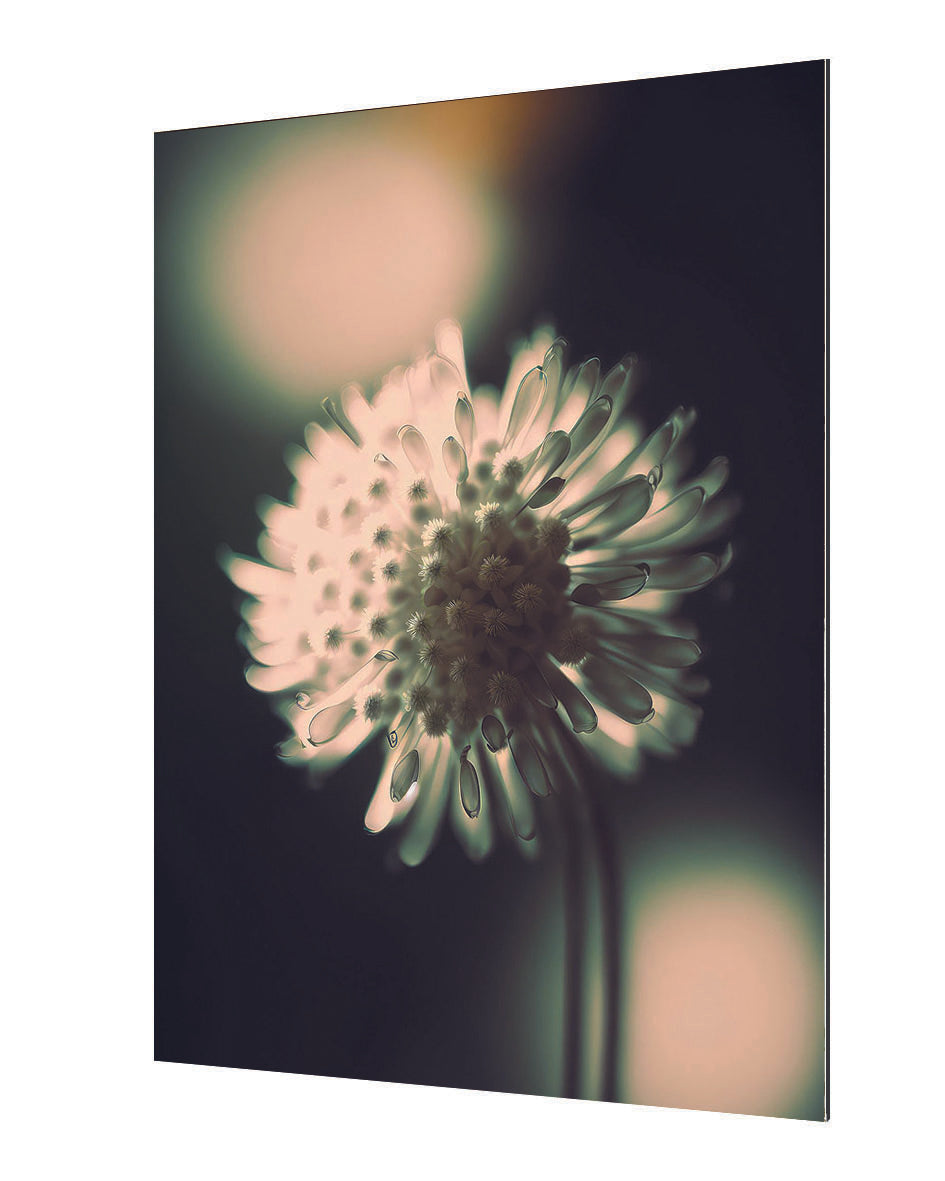 Treechild -  A Glowing Moment